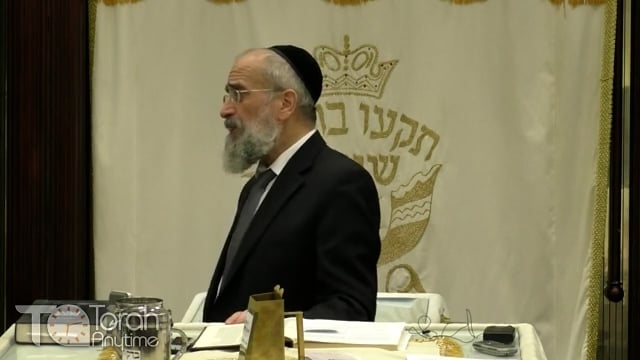 Late Night Mishmar With Rabbi Reisman # 18