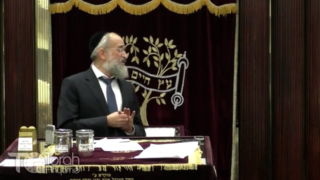 Late Night Mishmar With Rabbi Reisman # 19