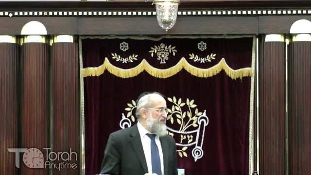 Late Night Mishmar With Rabbi Reisman # 21