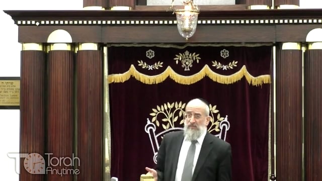 Late Night Mishmar With Rabbi Reisman # 22