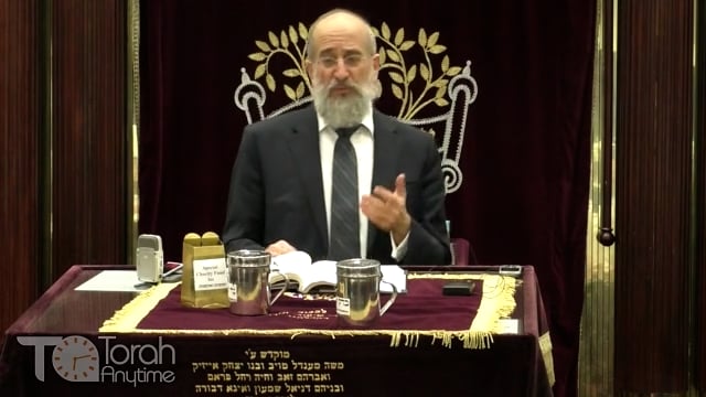 Late Night Mishmar With Rabbi Reisman # 24