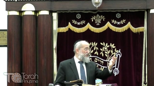 Late Night Mishmar With Rabbi Reisman # 25
