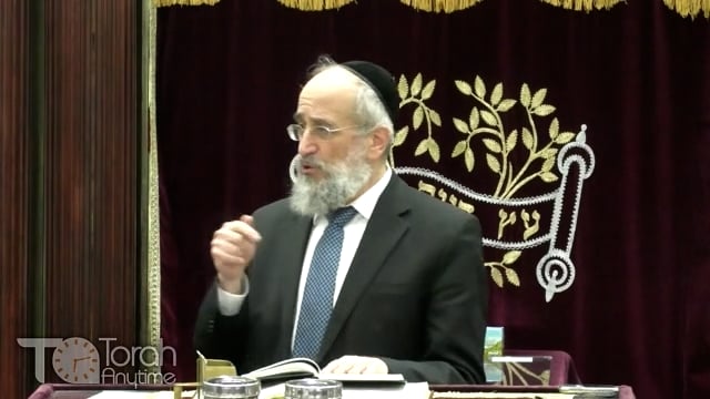 Late Night Mishmar With Rabbi Reisman # 29