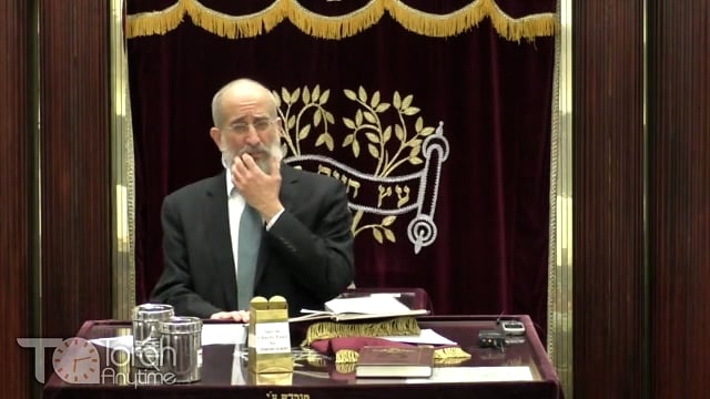 Late Night Mishmar With Rabbi Reisman # 55 - The Lomdus Of How Shelichos Works