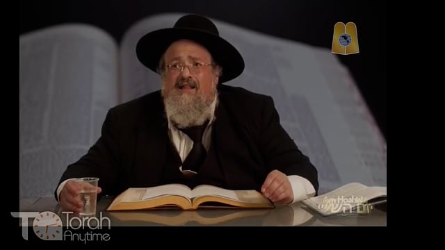 Yom Hashishi: Daf Yomi Meilah 6