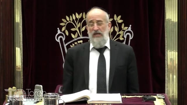 Late Night Mishmar With Rabbi Reisman # 63