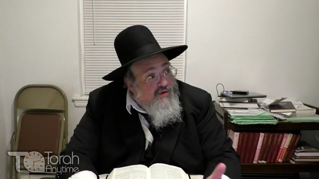 Parashat Vayishlach: Facing Life's Daily Struggles