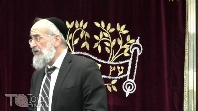 Late Night Mishmar With Rabbi Reisman # 67 - Sugya Of Uman Koine B'shvach K'li
